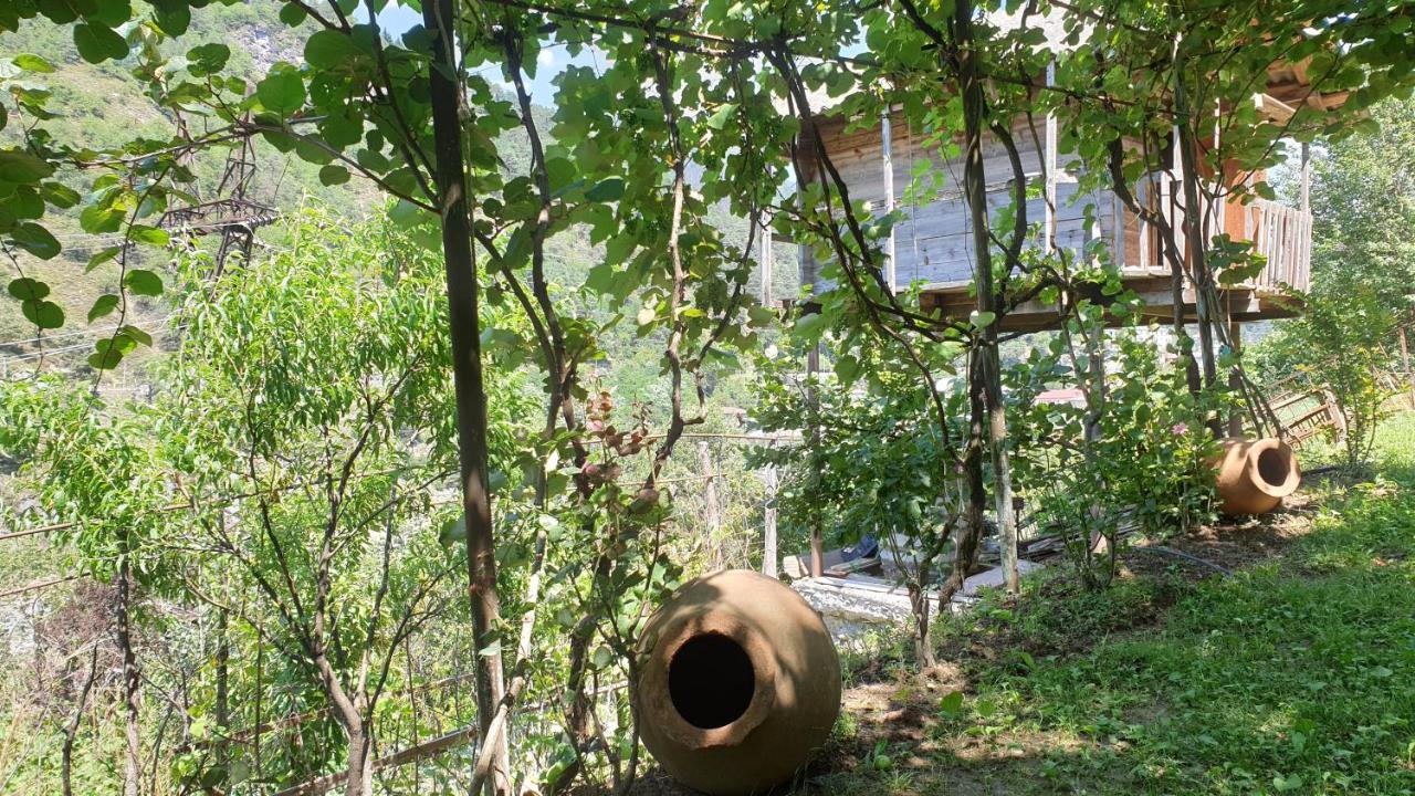 Guest House Okropilauri Shuakhevi Ngoại thất bức ảnh